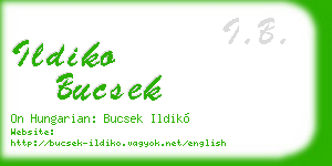 ildiko bucsek business card